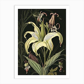 Lilium Floral 3 Botanical Vintage Poster Flower Art Print