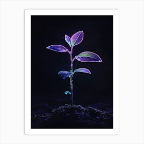 Plant Growing In The Dark 19 Art Print