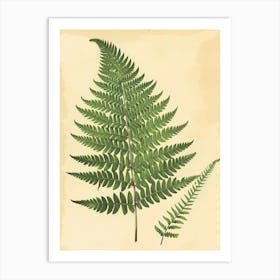 Vintage Illustration Pteris Fern 2 Art Print