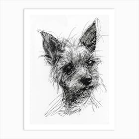 Australian Terrier Line Sketch 3 Art Print