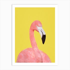 Flamingo In Yellow Art Print