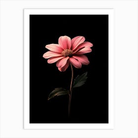 Pink Flower On Black Background 11 Art Print