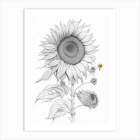 Sunflower Floral Quentin Blake Inspired Illustration 2 Flower Art Print