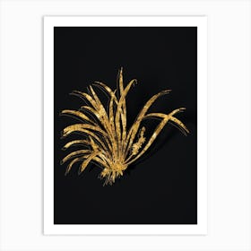 Vintage Sansevieria Carnea Botanical in Gold on Black n.0368 Art Print