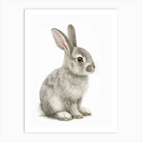 Chinchilla Rabbit Kids Illustration 3 Art Print