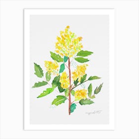 Mahonia2 Art Print