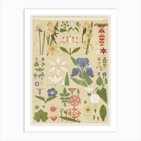 Vintage Pattern, Owen Jones    Art Print