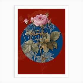 Vintage Botanical Pink French Roses on Circle Blue on Red n.0013 Art Print