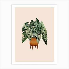 Philodendron Burle Marxii Variegata Art Print