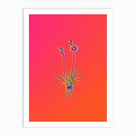 Neon Ixia Crispa Botanical in Hot Pink and Electric Blue n.0352 Art Print