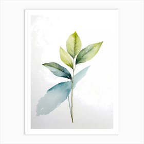 Watercolor Leaf 3 Art Print