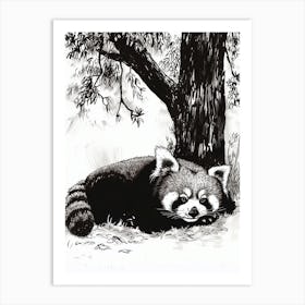 Red Panda Laying Under A Tree Ink Illustration 3 Art Print