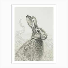 New Zealand Rabbit Drawing 2 Art Print