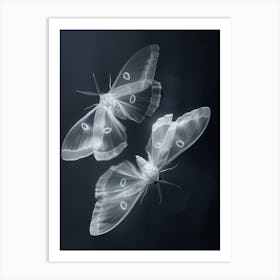 Moths Art Print