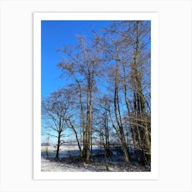 Bare Trees In Winter Art Print