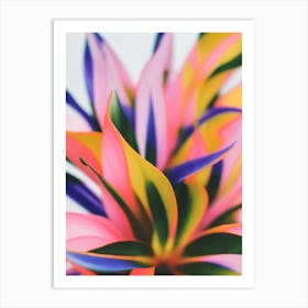 Clivia Colourful Illustration Plant Art Print