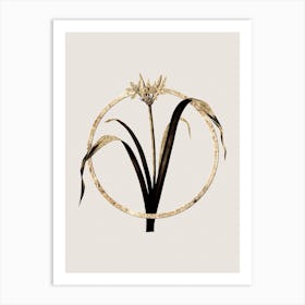 Gold Ring Small Flowered Pancratium Glitter Botanical Illustration n.0029 Art Print