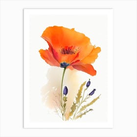 California Poppy Wildflower Watercolour 2 Art Print