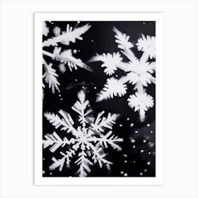 Ice, Snowflakes, Black & White 4 Art Print