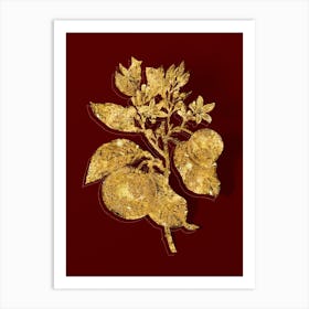Vintage Bitter Orange Botanical in Gold on Red n.0390 Art Print