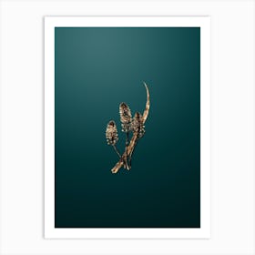 Gold Botanical Meadow Squill Flower on Dark Teal n.0146 Art Print