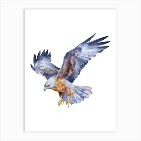 Eagle In Flight.4 Art Print