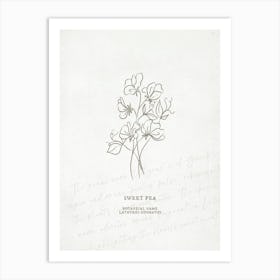 Sweet Pea Birth Flower | Antique Art Print