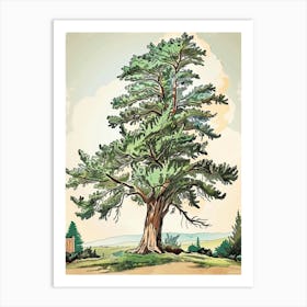 Cypress Tree Storybook Illustration 4 Art Print
