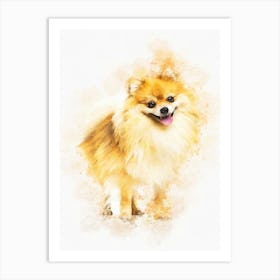 Pomeranian Dog Art Print