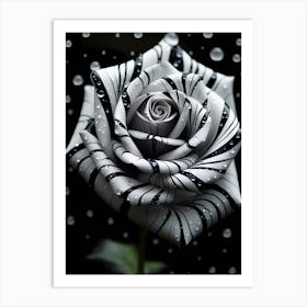 Black And White Rose 6 Art Print