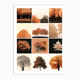 Autumn Collage, Autumn Collection 1 Art Print