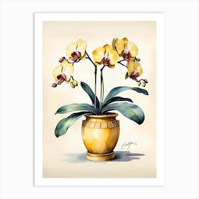 Orchids In A Pot 1 Art Print