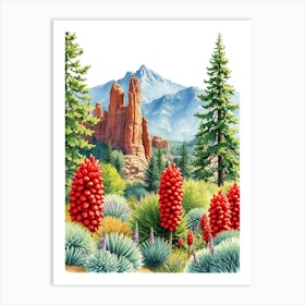 Red Rock Cactus Art Print