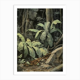 Vintage Jungle Botanical Illustration Banana Plant 4 Art Print