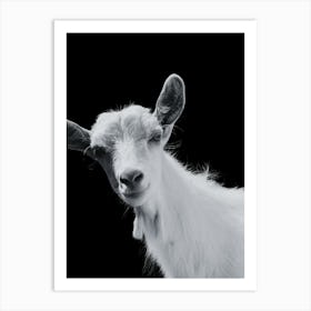 Black And White Goat 1 Art Print