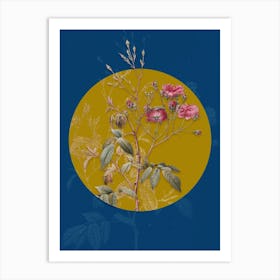 Vintage Botanical Pink Noisette Roses on Circle Yellow on Blue n.0017 Art Print