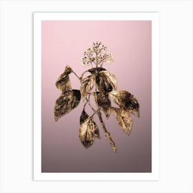 Gold Botanical Climbing Hydrangea on Rose Quartz n.3110 Art Print