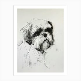 Shih Tzu Charcoal Line 2 Art Print