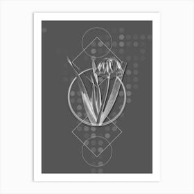 Vintage Knysna Lily Botanical with Line Motif and Dot Pattern in Ghost Gray n.0177 Art Print