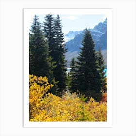 Fall Foliage In Banff National Park Art Print