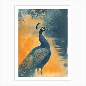 Orange & Blue Vintage Peacock In The Water 2 Art Print