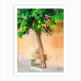 A Tree Of Granada Art Print