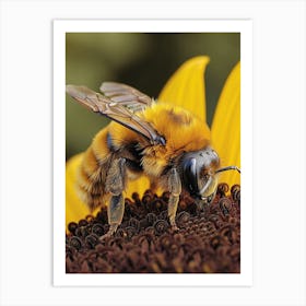 Leafcutter Bee Realism Illustration 7 Art Print