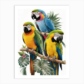 Parrots On A Branch Art Print