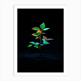 Plant In The Dark 17 Art Print