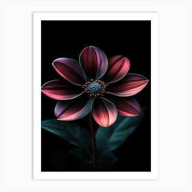 Fuchsia Flower Art Print