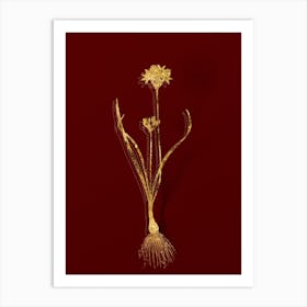 Vintage Three Cornered Leek Botanical in Gold on Red n.0079 Art Print