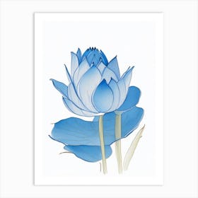 Blue Lotus Pencil Illustration 7 Art Print