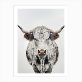 Longhorn Bull 2 Art Print