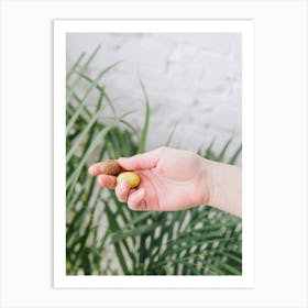 Hand Holding Almond Art Print